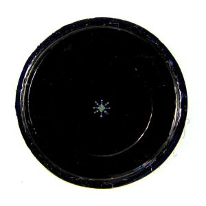   Rosette of Scales from Butterflies & Diatoms