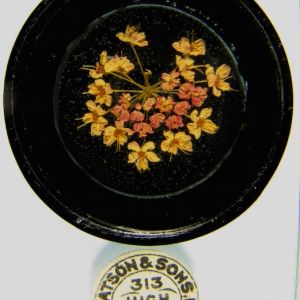  Antique Microscope Slide by W.Watson